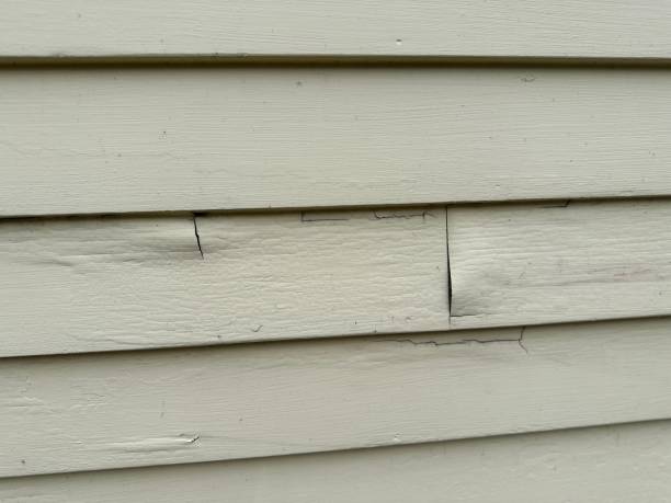 Best Hoarding Cleanup  in Newcastle, WY